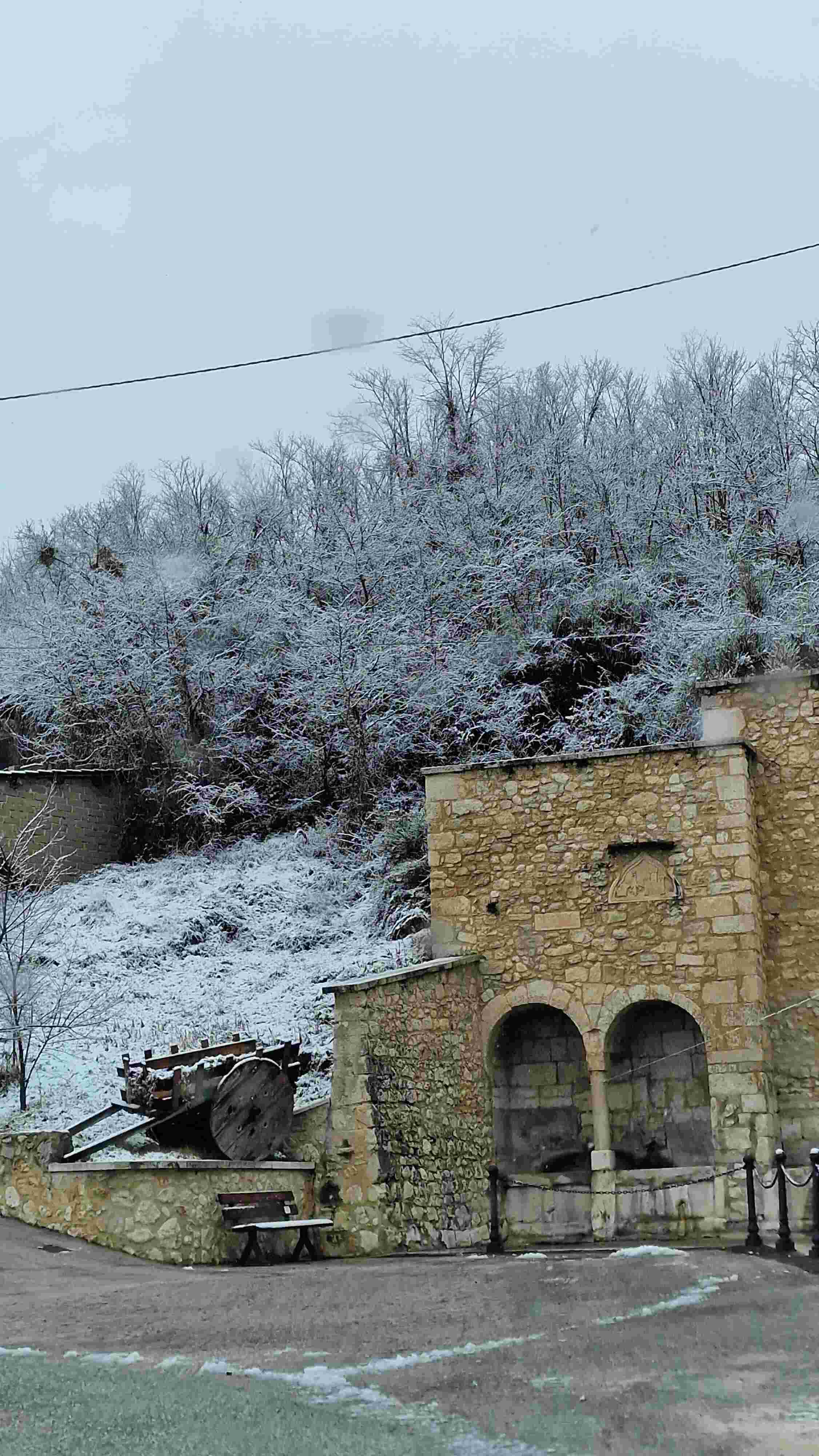 Immagine 3