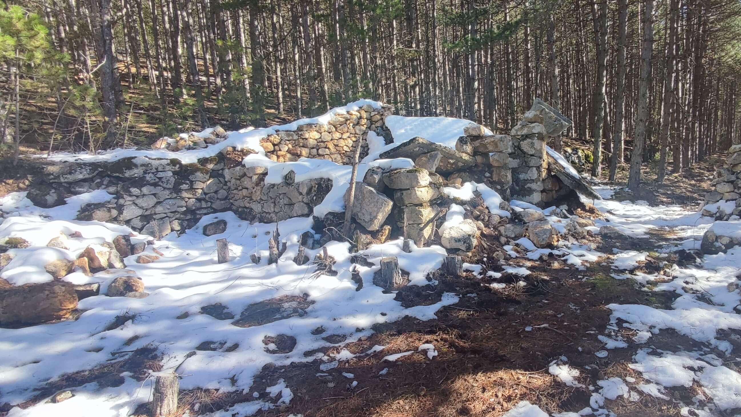 Rovine di un antico rifugio di pietra nel bosco